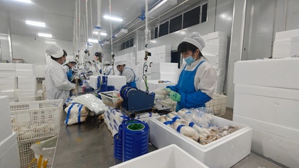 安圖生物 鉚足干勁抓生產，奮力沖刺生物制品“開門紅”